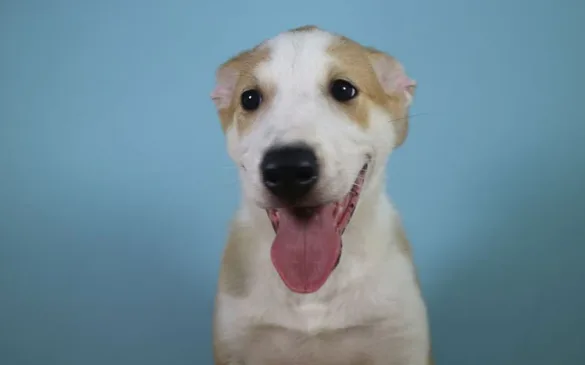 G6JSZP6PLNGMHKYAH6RNJ33L5M