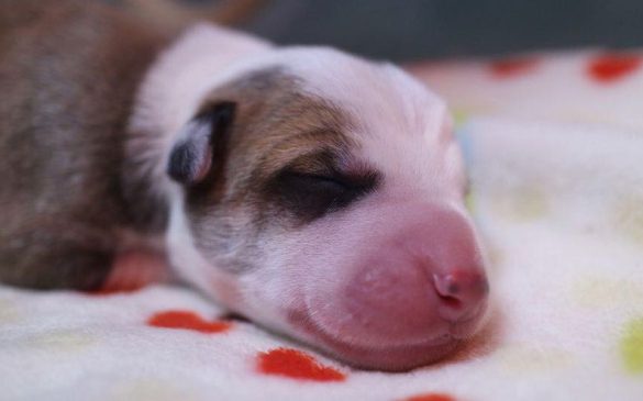 MHOL7HRDT5G6ZLKLRHWAMQXEKA